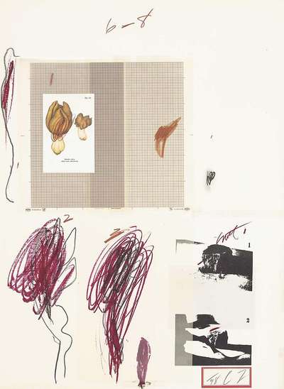 Plate IX (from Natural History Part I - Mushrooms) - Signed Print by Cy Twombly 1974 - MyArtBroker
