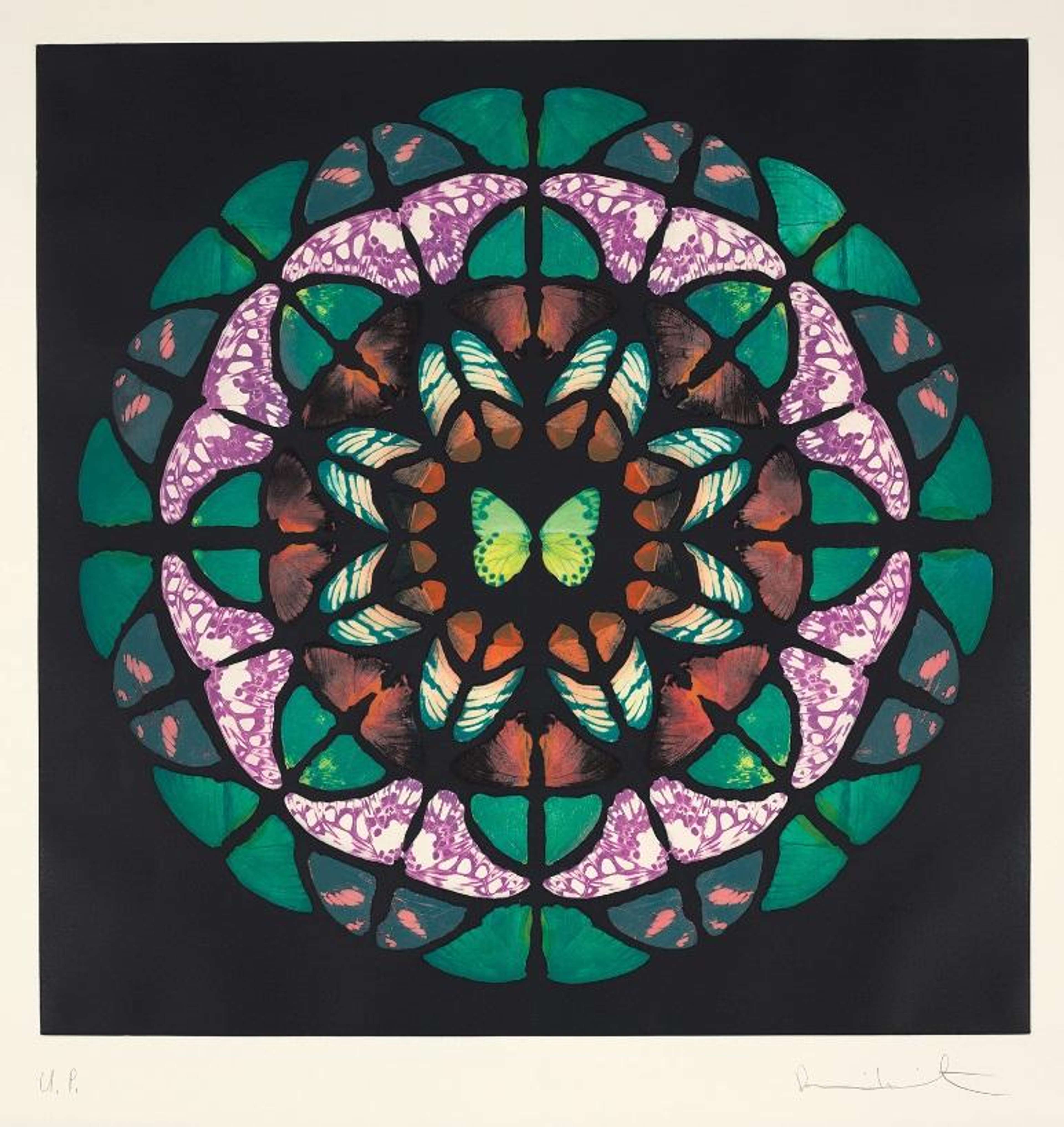 Une gravure de Damien Hirst représentant un arrangement d'ailes de papillon imitant des vitraux, disposées en cercles concentriques.