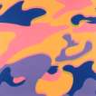 Camouflage (F. & S. II.410) - Signed Print