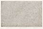 Yayoi Kusama: Infinity Nets, Kusama 51 - Signed Print