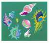 Sea Creatures