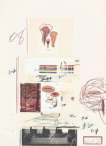 Plate V (from Natural History Part I - Mushrooms) - Signed Print