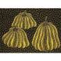 Yayoi Kusama: Three Pumpkins, Kusama 186 - Signed Print
