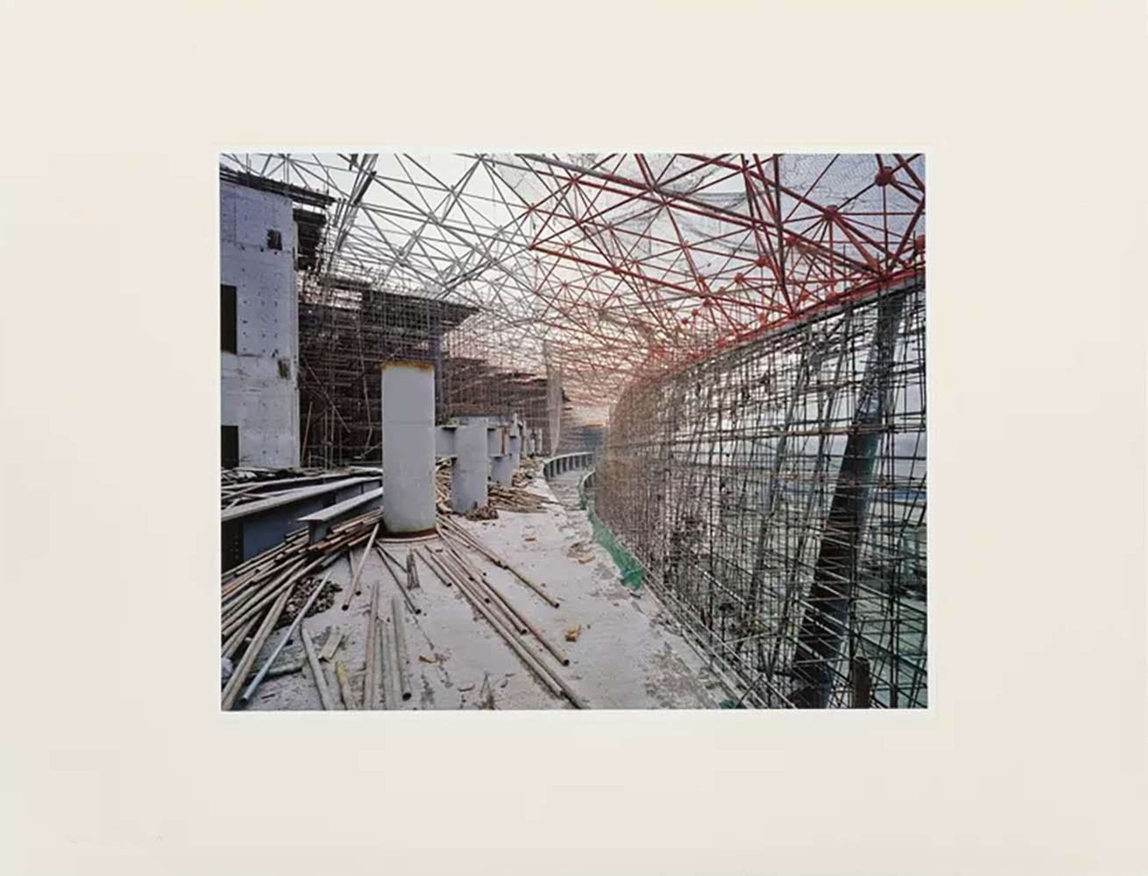 Becoming #24 - Unsigned Print by Ai Weiwei 2006 - MyArtBroker