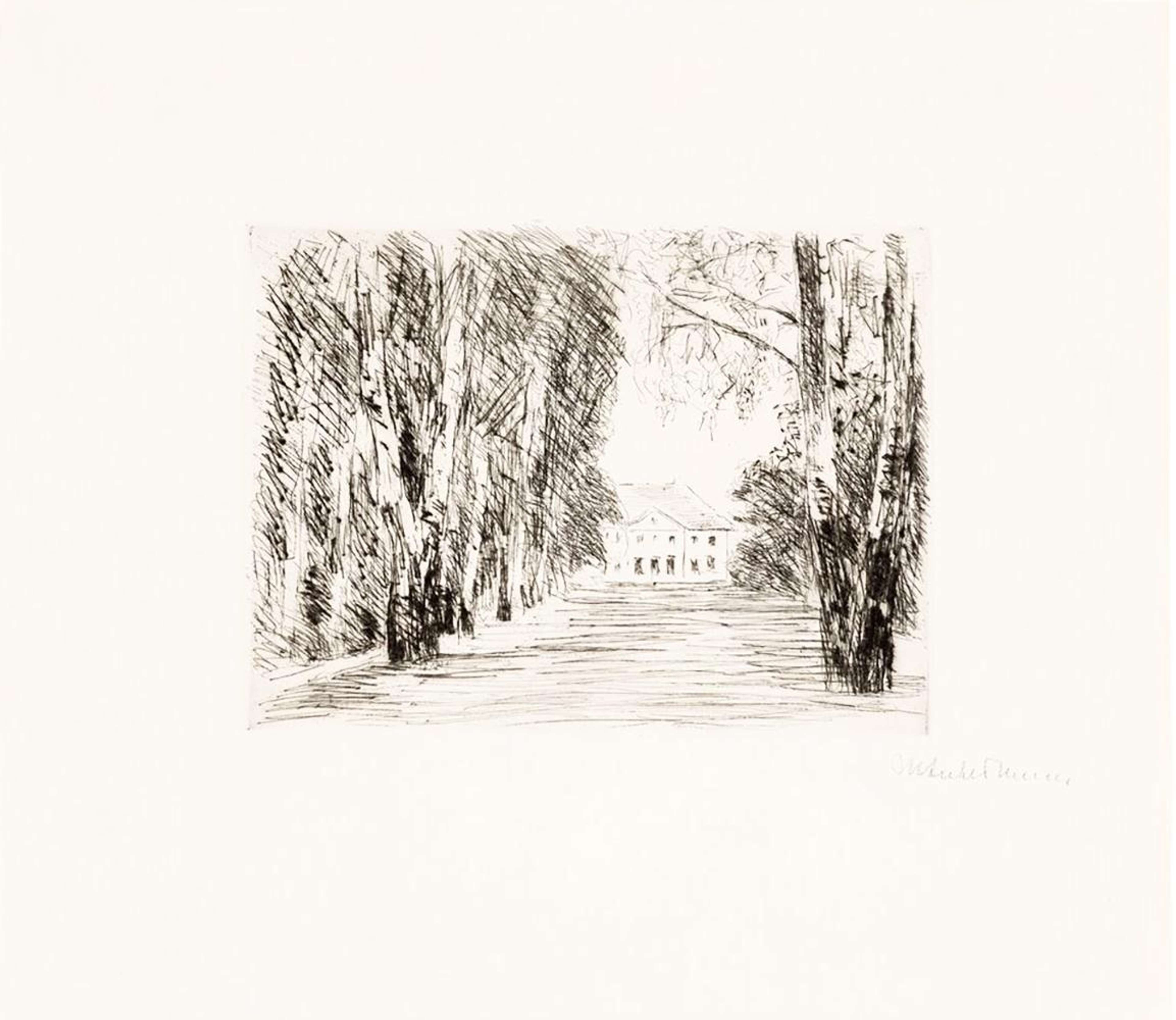 Une représentation, rappelant une esquisse, de la villa de Liebermann près du Wannsee. Dans l'esquisse, la maison apparaît au loin, de l'autre côté d'une vaste pelouse. De chaque côté, de grands arbres s'étendent au-delà des bords de la feuille.