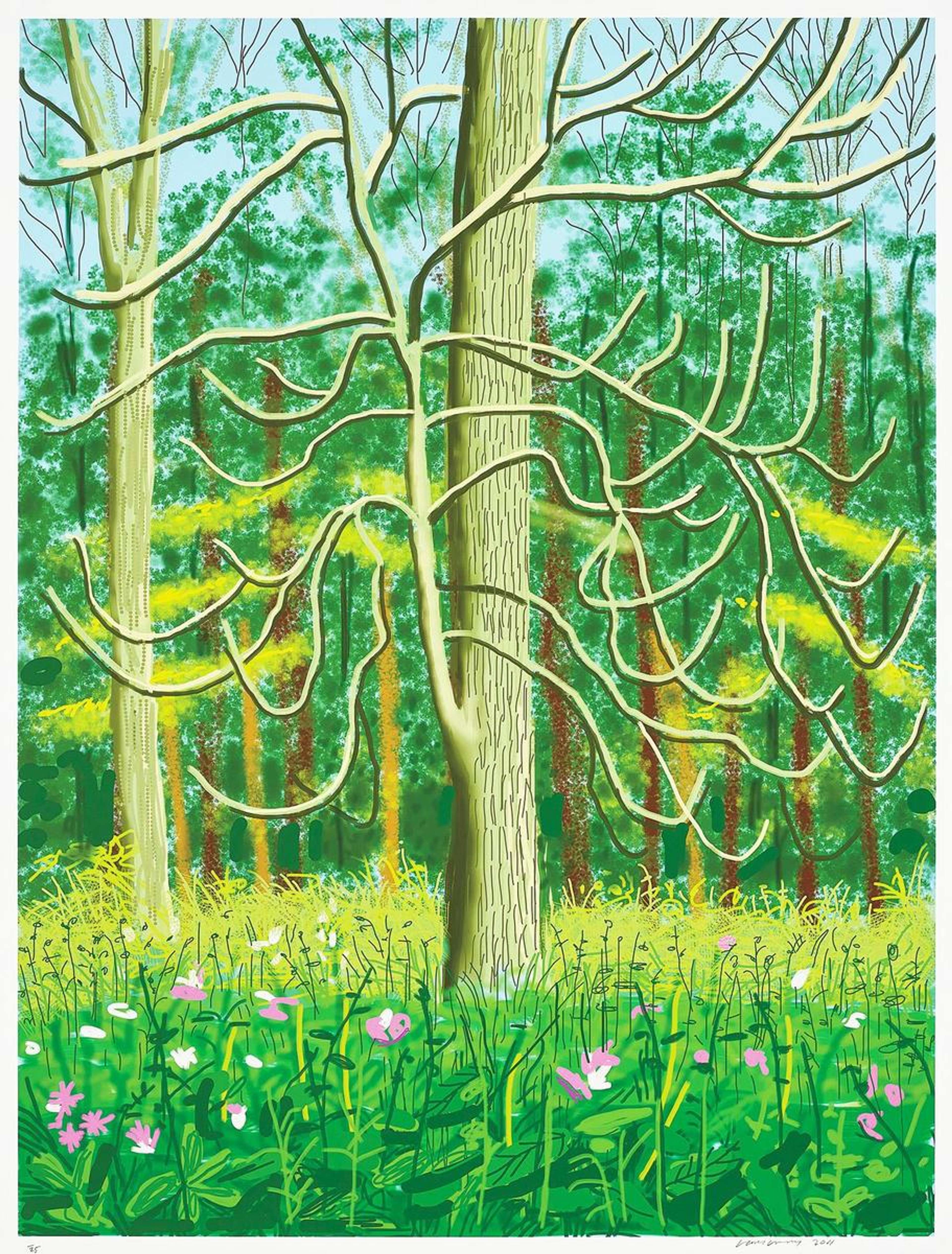 David Hockney Valeur : Les Meilleurs Prix Obtenus aux Enchères