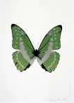 The Souls III (leaf green, silver gloss, raven black) - Signed Print