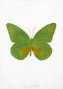 Damien Hirst: The Souls I (leaf green, oriental gold) - Signed Print