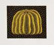 Pumpkin (Y) - Signed Print