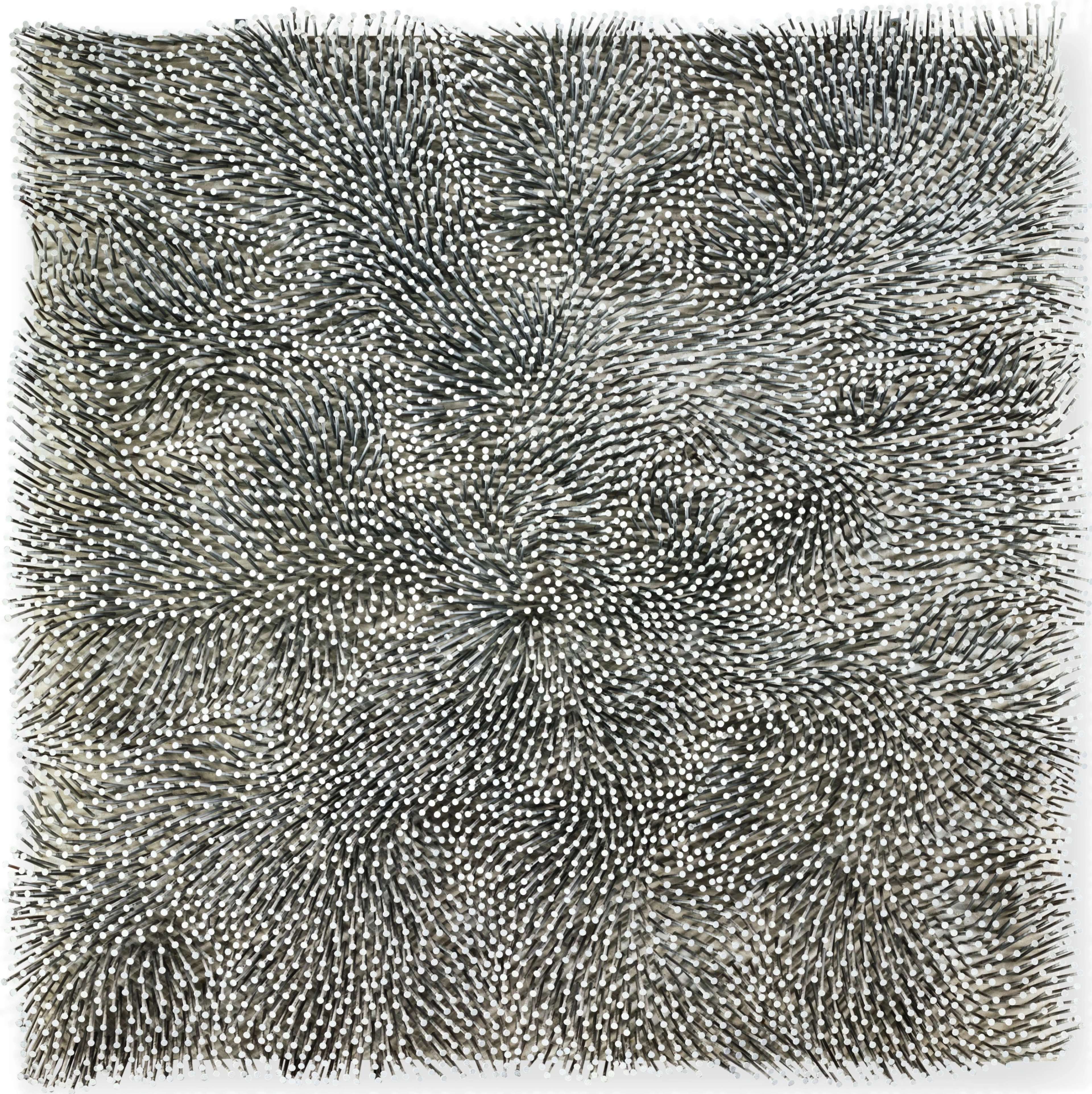 A textural relief formed by countless white nails meticulously hammered into a white surface, all at slightly different angles to create shadows that form a series of undulations that change as the viewer moves around the piece or the light changes.