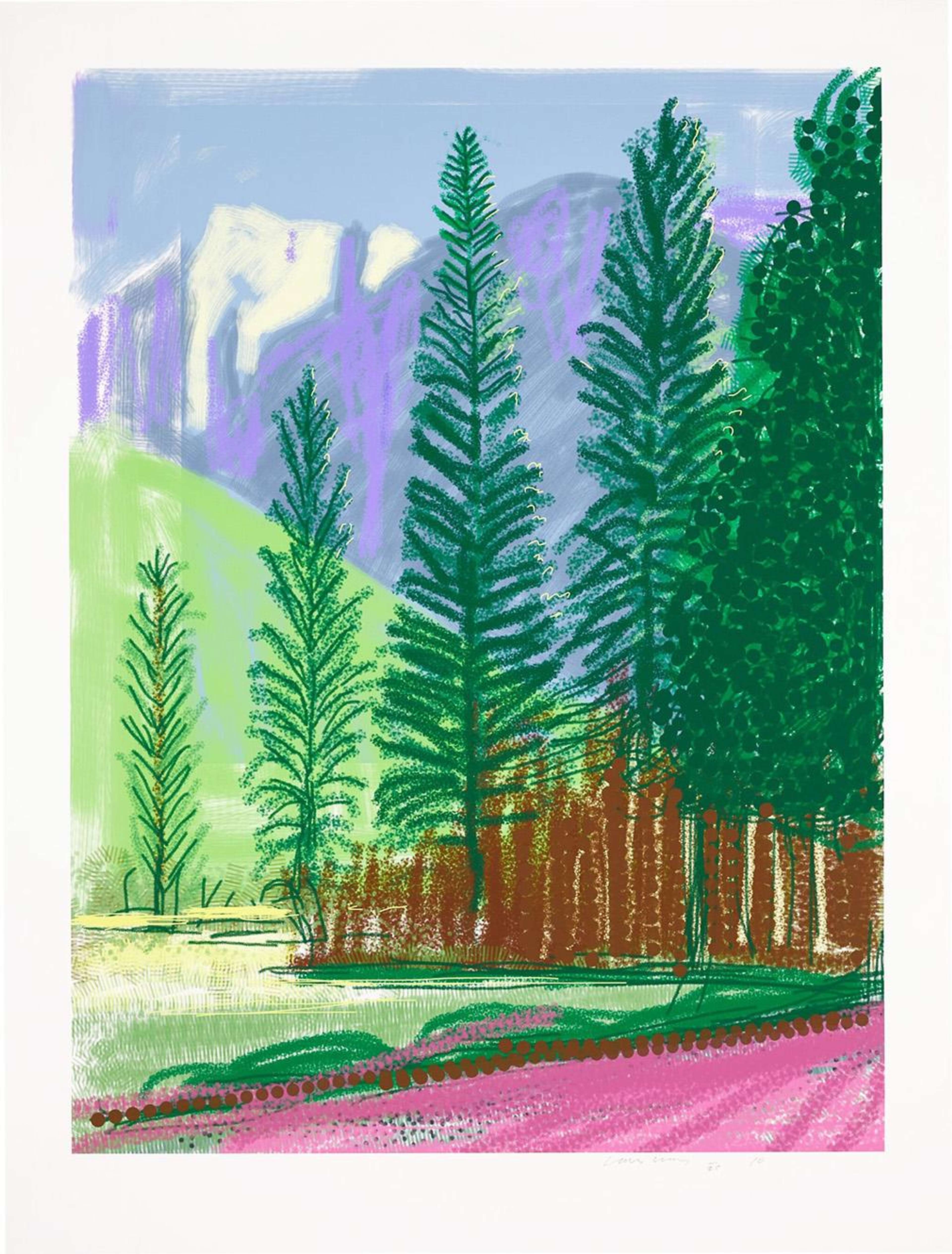 Digital iPad drawing by David Hockney of mountain range with deep green forrest trees beside a pink footpath. 