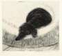 David Hockney: Dog Etching No. 8 - Signed Print