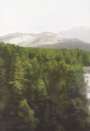 Gerhard Richter: Waldhaus (P18) - Unsigned Print
