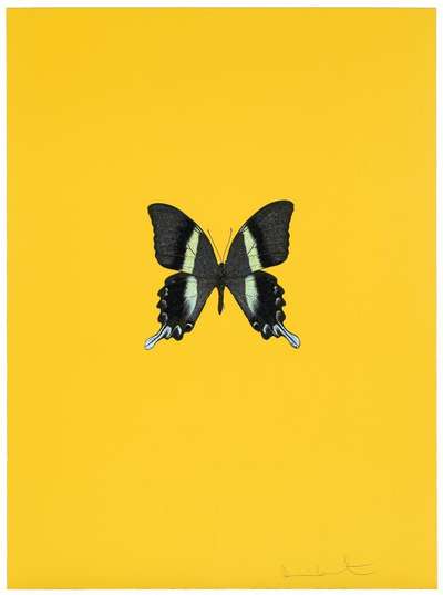 New Beginnings 3 - Signed Print by Damien Hirst 2011 - MyArtBroker