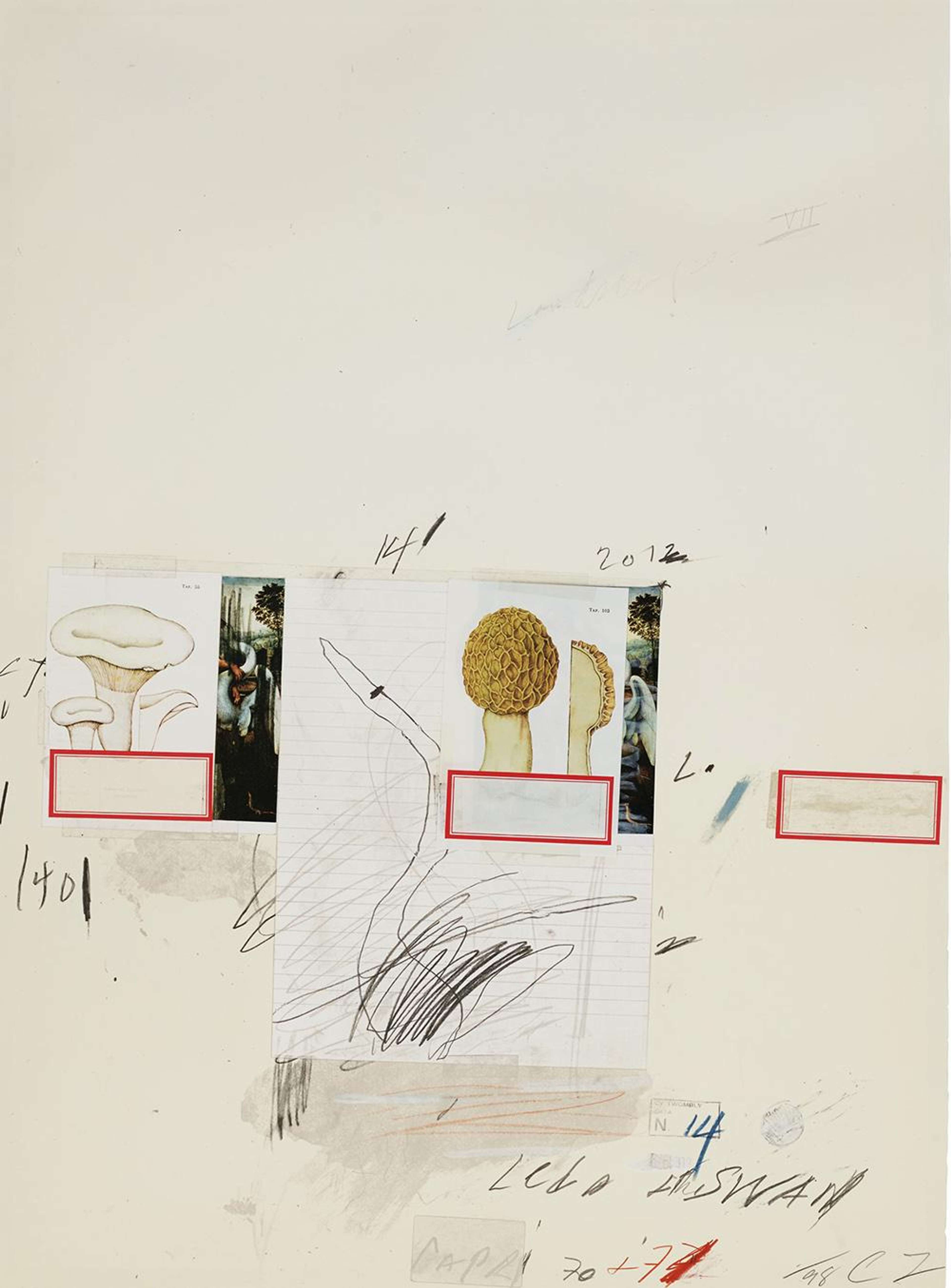 Plate I (from Natural History Part I - Mushrooms) - Signed Print by Cy Twombly 1974 - MyArtBroker