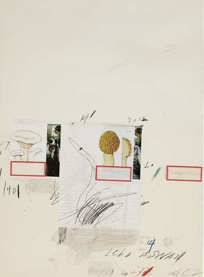 Plate I (from Natural History Part I - Mushrooms) - Signed Print by Cy Twombly 1974 - MyArtBroker