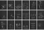 Jean-Michel Basquiat: Anatomy (complete set) - Signed Print