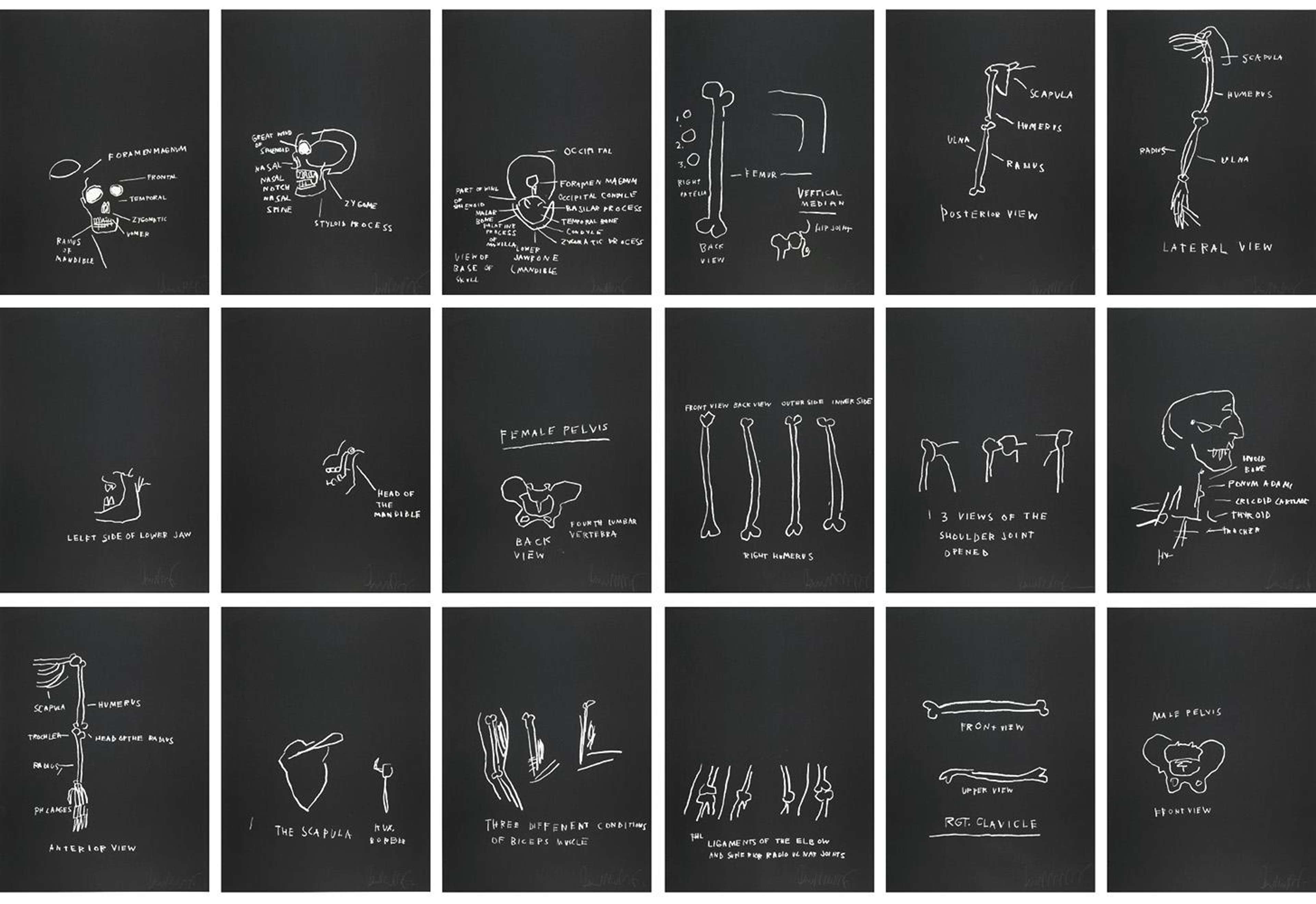Anatomy (série complète) par Jean-Michel Basquiat - MyArtBroker