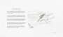 Bob Dylan: The Times They Are A-Changin' - Signed Print