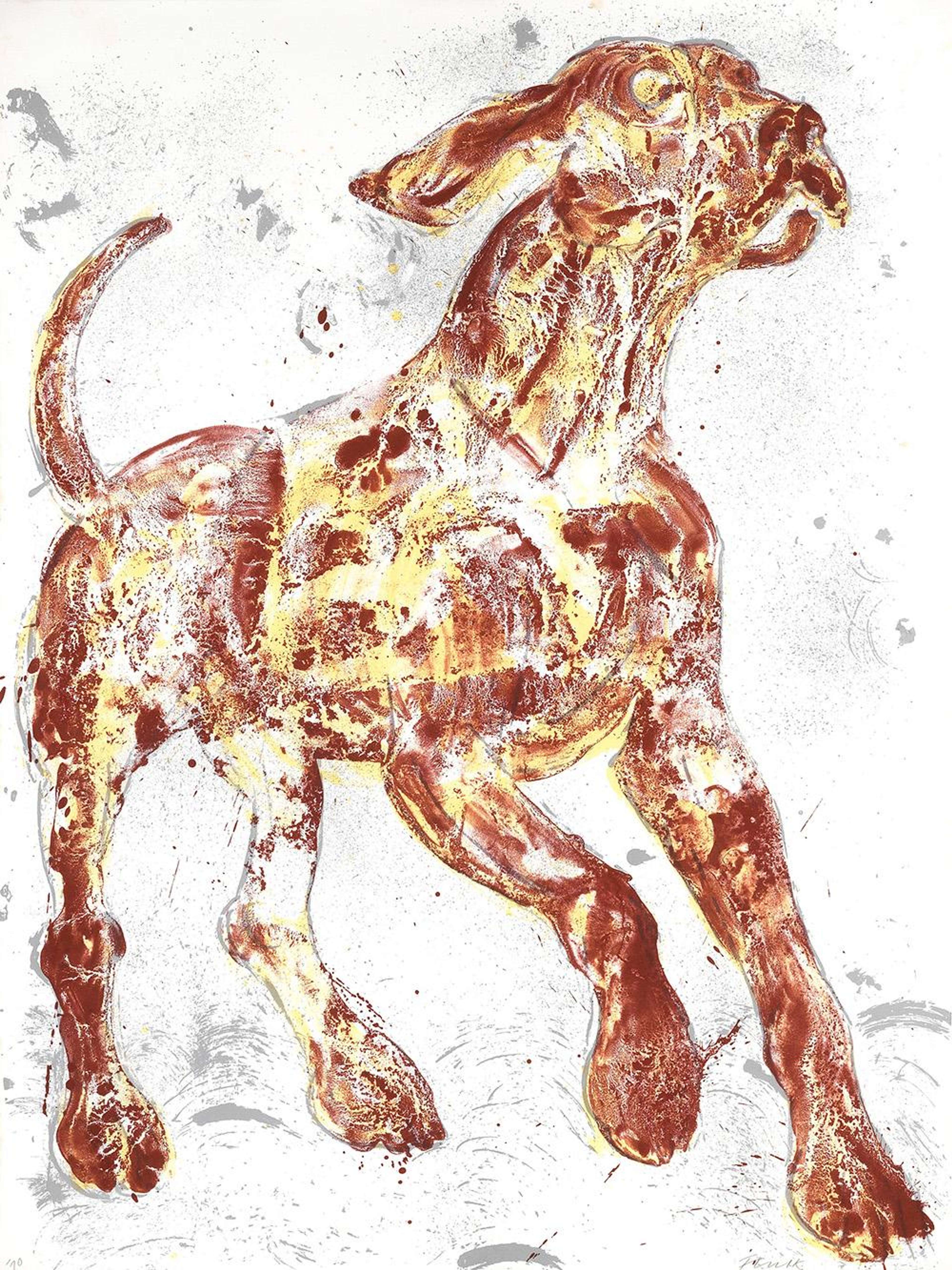 Estampe représentant un chien grand et musclé en mouvement. Sa queue est dressée, sa patte avant droite est levée, et il regarde vers le haut, à droite. L'estampe elle-même est encreuse et brute, utilisant des bruns rougeâtres et des jaunes pour le chien, avec des éclaboussures de gris sur le fond blanc. L'œuvre fait partie de la série « The Dog ».