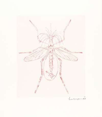 Mosquito - Signed Print by Louise Bourgeois 1999 - MyArtBroker