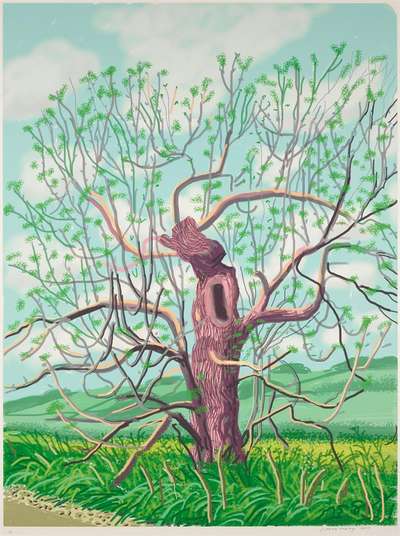 The Arrival Of Spring In Woldgate, East Yorkshire In 2011 (twenty eleven) - 18 May - Signed Print by David Hockney 2011 - MyArtBroker