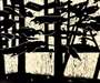 Alex Katz: Pines - Signed Print