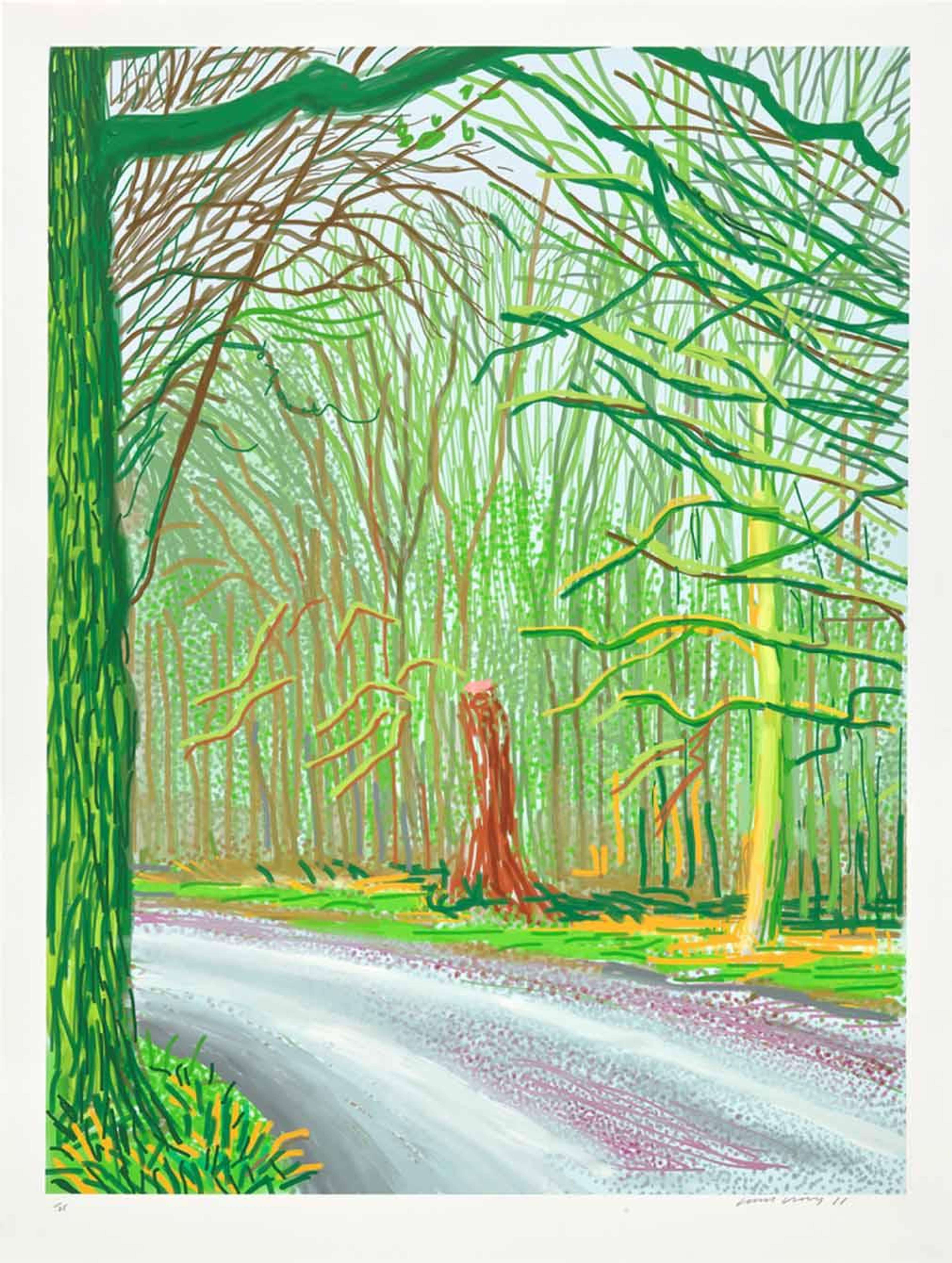 The Arrival Of Spring In Woldgate, East Yorkshire In 2011 (twenty eleven) - 18 January - Signed Print by David Hockney 2011 - MyArtBroker