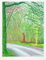 David Hockney: The Arrival Of Spring In Woldgate, East Yorkshire In 2011 (twenty eleven) - 18 January - Signed Print