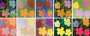 Andy Warhol: Flowers (F. & S. II.64-73) (complete set) - Signed Print