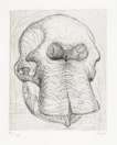 Elephant Skull I - Signed Print