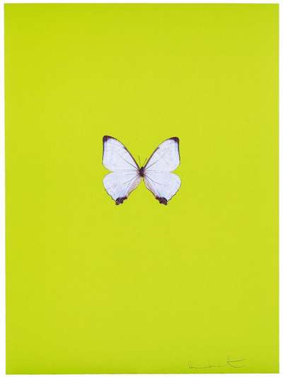 New Beginnings 2 - Signed Print by Damien Hirst 2011 - MyArtBroker