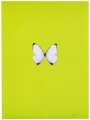 Damien Hirst: New Beginnings 2 - Signed Print