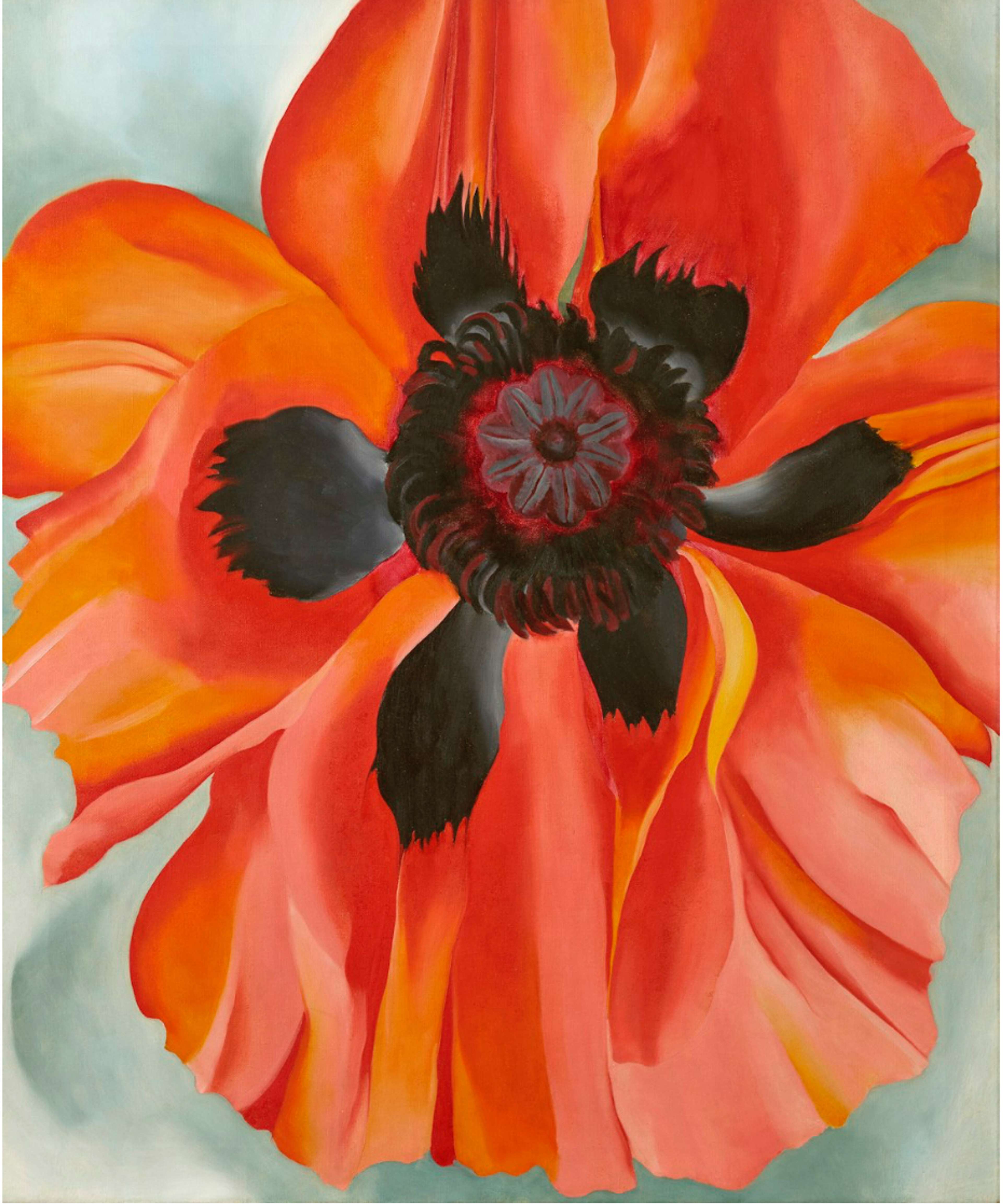 Coquelicot rouge de Georgia O'Keeffe 1928