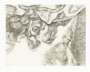 Lucian Freud: After Chardin Small Plate - Signed Print