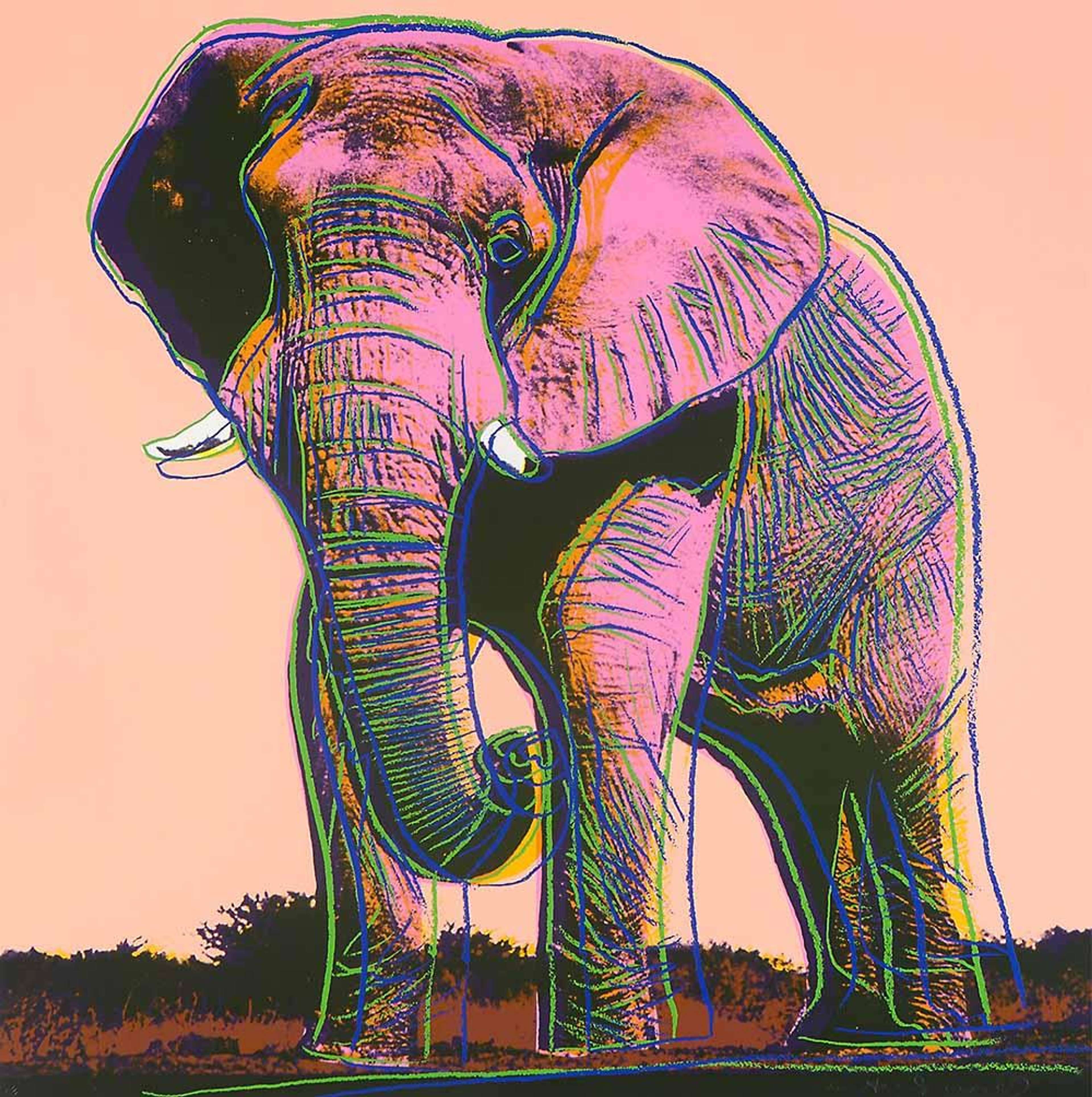 Une sérigraphie d'Andy Warhol, intitulée « African Elephant (F. & S. II.293) », représentant un éléphant d'Afrique rose de profil sur un paysage multicolore saisissant. L'œuvre présente de gras contours noirs, des accents vert néon, jaune, Black Purple And Blue, et la composition caractéristique de Warhol à fort contraste. Réalisée en sérigraphie Pop Art, avec des superpositions expressives dessinées à la main et une signature au crayon dans le coin inférieur droit. ([MyArtBroker][1]) **Texte alternatif court (moins de 125 caractères) :** Éléphant d'Afrique rose de profil, rendu en couleurs néon vives et en gras contours noirs par Andy Warhol. ([MyArtBroker][1]) [1]: https://www.myartbroker.com/artist-andy-warhol/series-endangered-species/artwork-african-elephant-f-s-ii-293-signed-print?utm_source=chatgpt.com "Andy Warhol African Elephant (F. & S. II.293) (Signed Print) 1983 | MyArtBroker"
