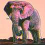 Andy Warhol: African Elephant (F. & S. II.293) - Signed Print