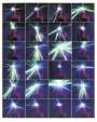 Chris Levine: Superstar Grace Jones - Signed Print