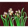 Yayoi Kusama: Flowers, Kusama 84 - Signed Print
