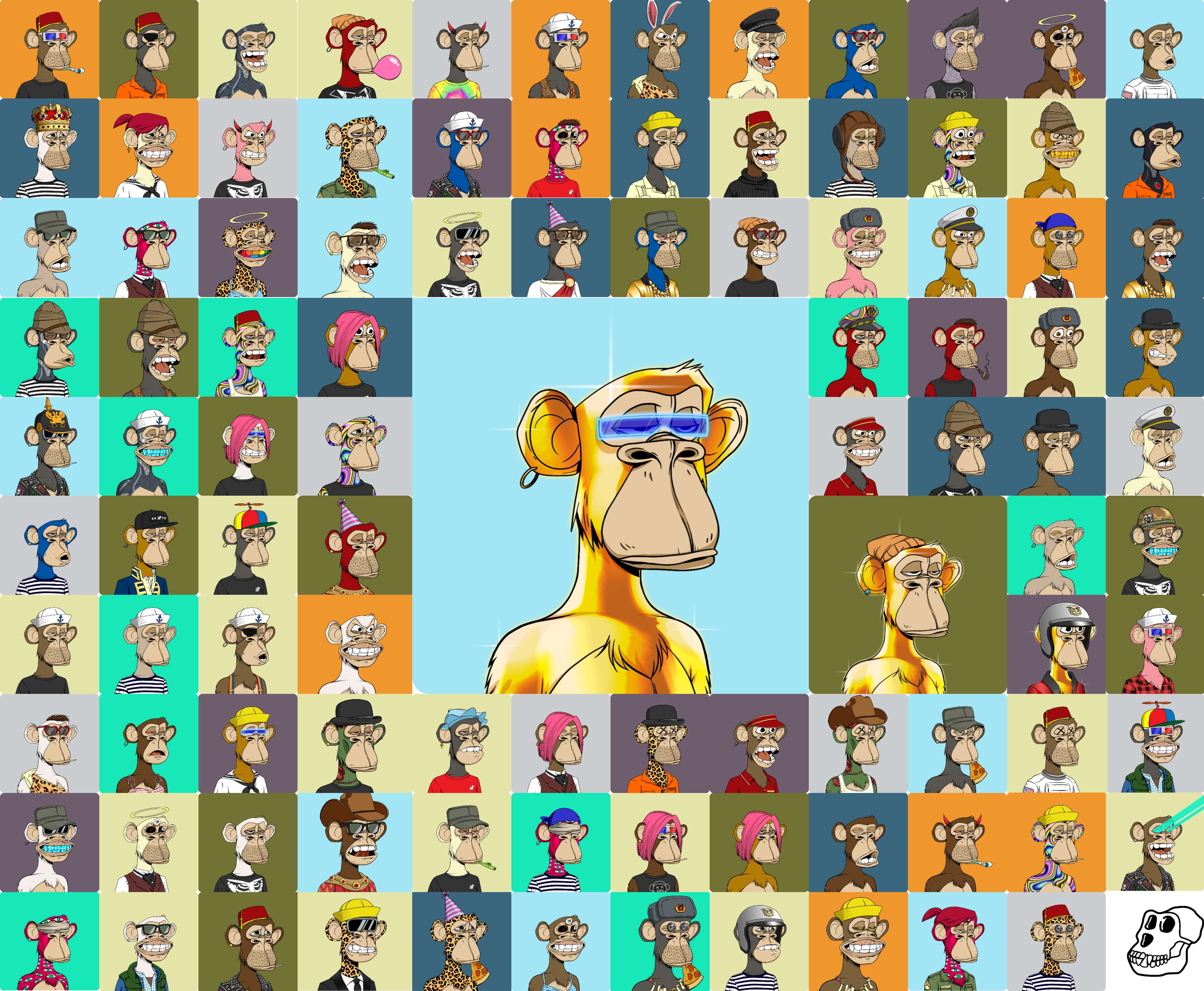 Un collage de douze figures de singes par les artistes NFT Bored Ape Yacht Club