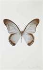 Damien Hirst: The Souls IV (silver gloss, chocolate) - Signed Print