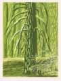 David Hockney: The Yosemite Suite 18 - Signed Print