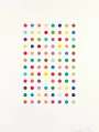 Damien Hirst: Xylene Cyanol Dye Solution - Signed Print