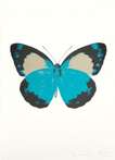 The Souls II (turquoise, raven black, cool gold) - Signed Print