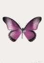Damien Hirst: The Souls IV (loganberry pink, silver gloss, raven black) - Signed Print
