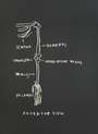 Jean-Michel Basquiat: Anatomy, Anterior View - Signed Print