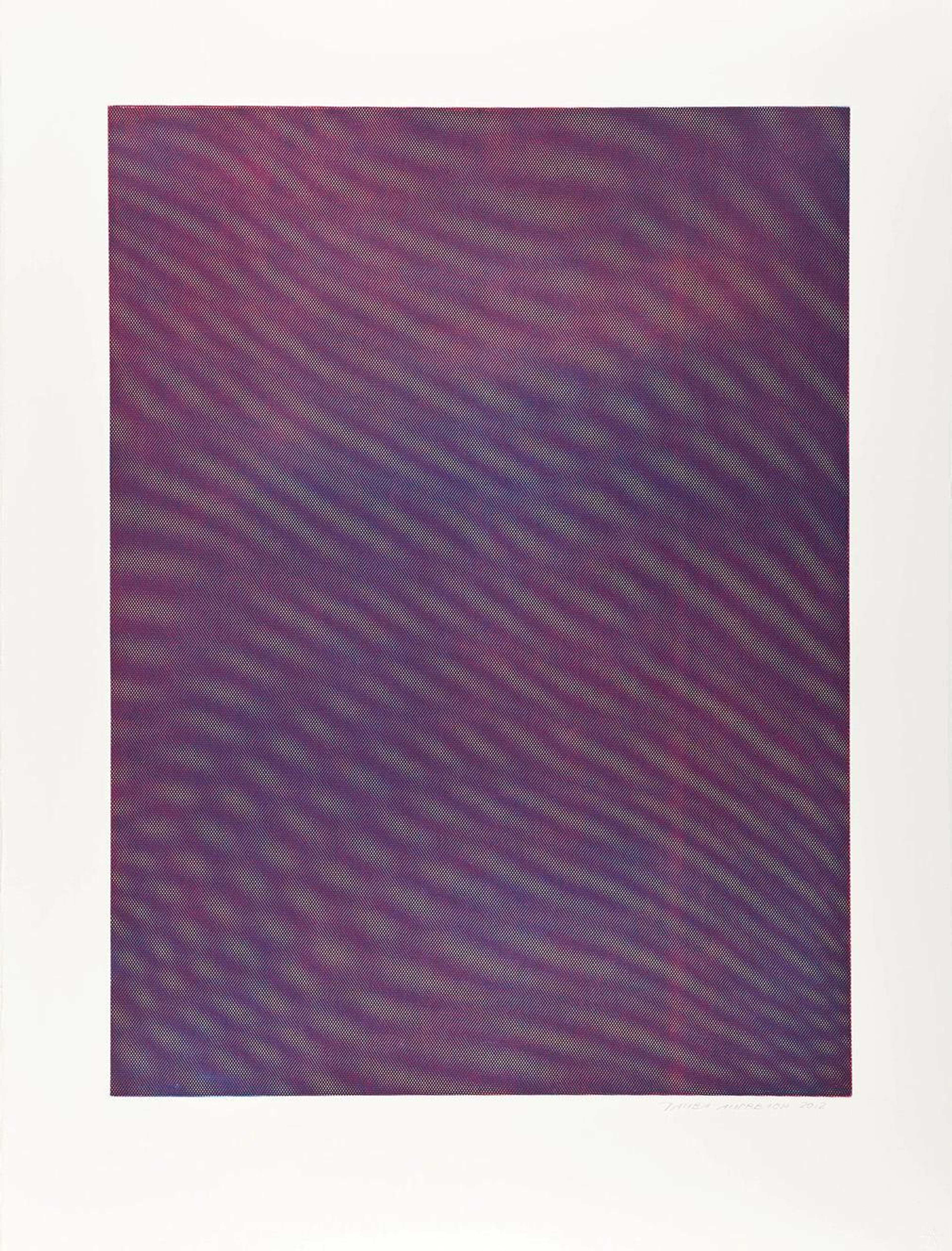 Mesh Moire VI - Signed Print by Tauba Auerbach 2012 - MyArtBroker