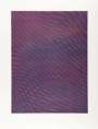 Tauba Auerbach: Mesh Moire VI - Signed Print