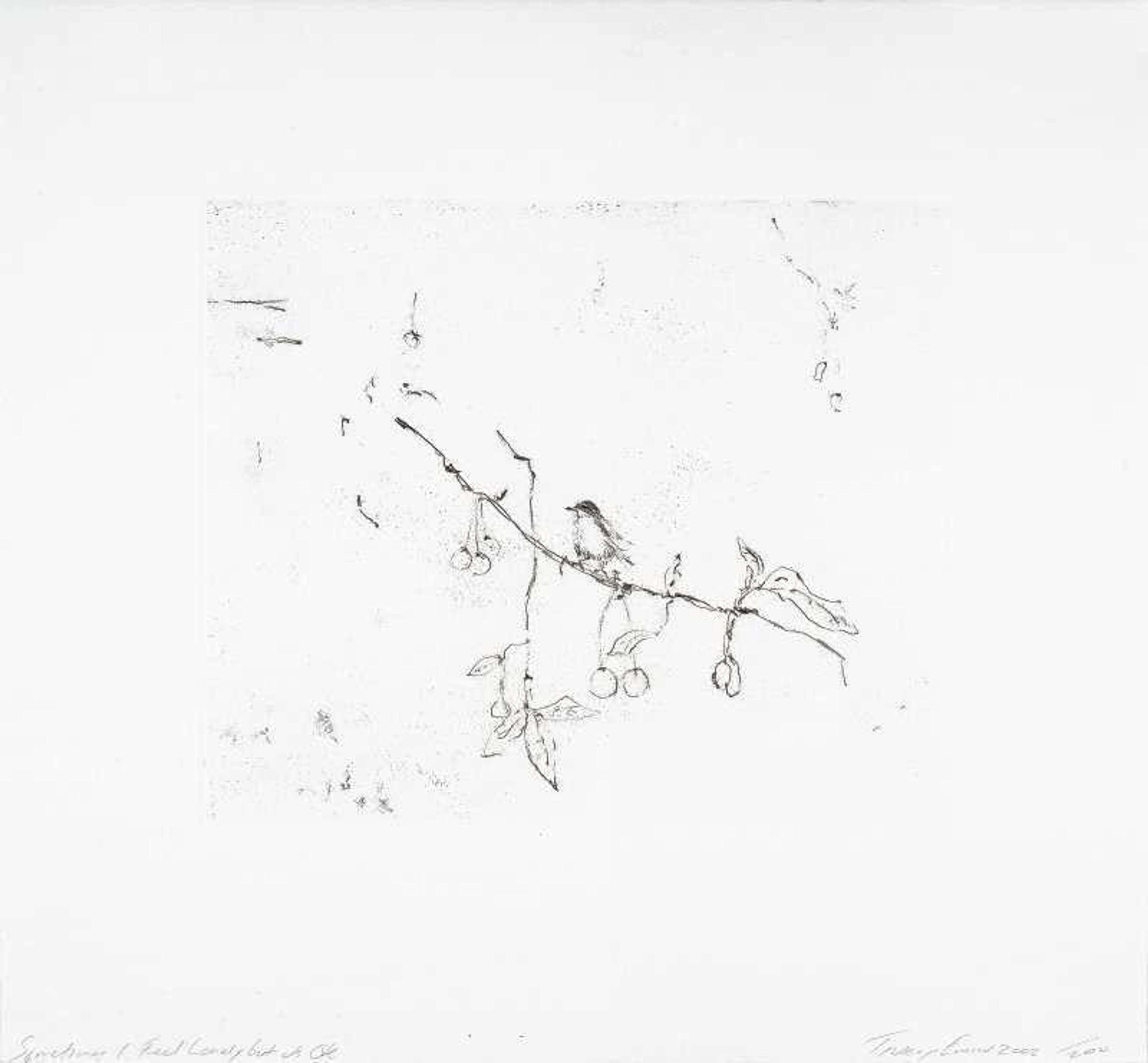 Sometimes I Feel Lonely But It's Ok - Signed Print by Tracey Emin 2002 - MyArtBroker