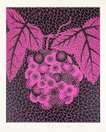 Grapes - Signed Print